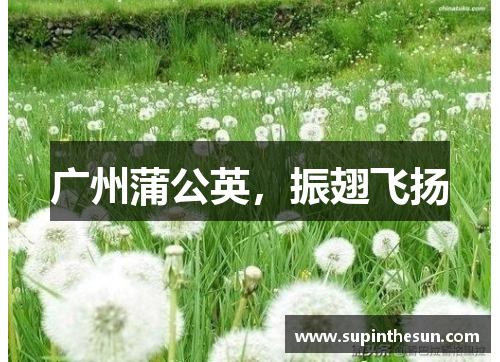 广州蒲公英，振翅飞扬